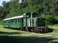 zsuzsi_vonat