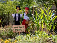 Debrecen’s most beautiful kitchen gardens in 2026