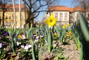 Spring has arrived in Szeged